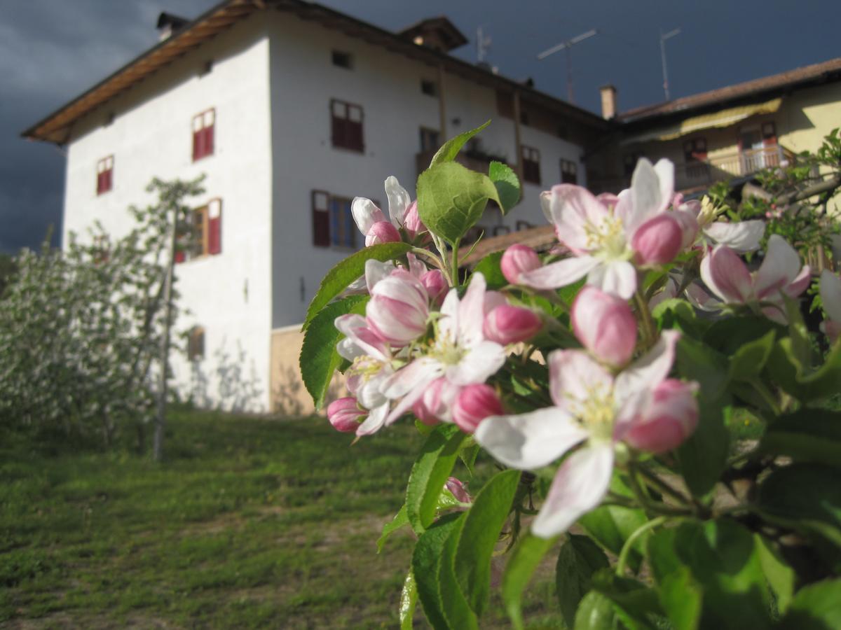 Vila Agritur Maso San Bartolomeo Romeno Exteriér fotografie